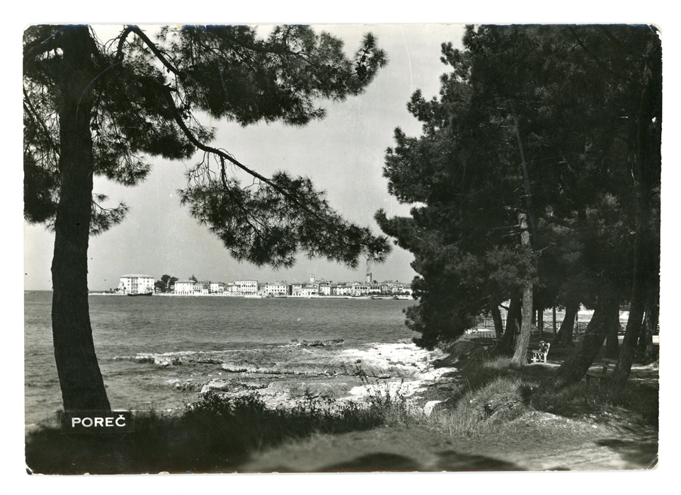 Image description
